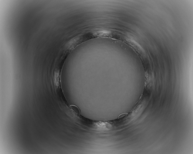 X0000094070189200710191127