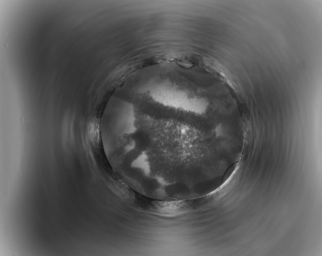 X0000094070191200710191127