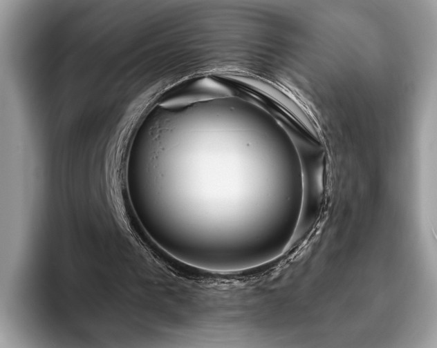 X0000094070193200710191126