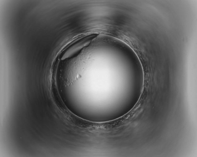 X0000094070194200710191126