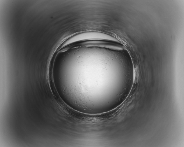 X0000094070195200710191126