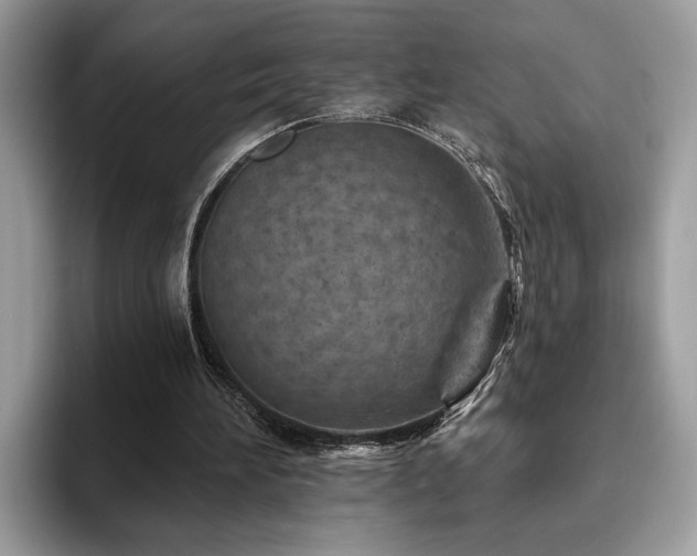 X0000094070196200710191126