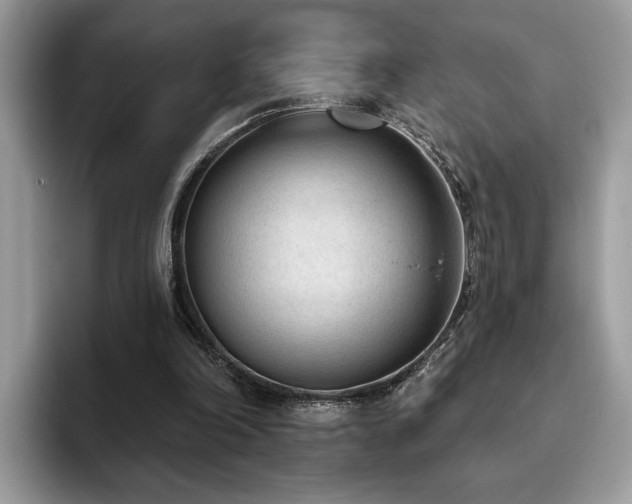 X0000094070198200710191126