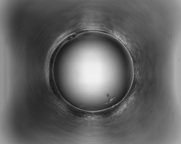 X0000094070199200710191126
