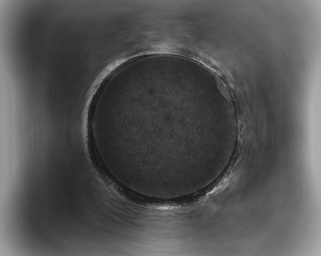 X0000094070200200710191126