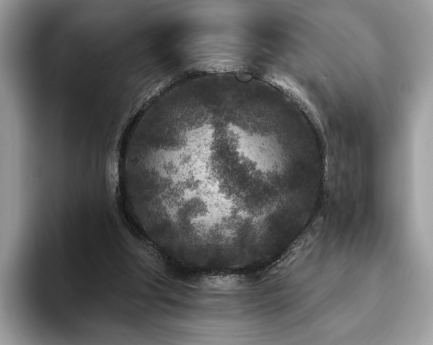 X0000094070202200710191126