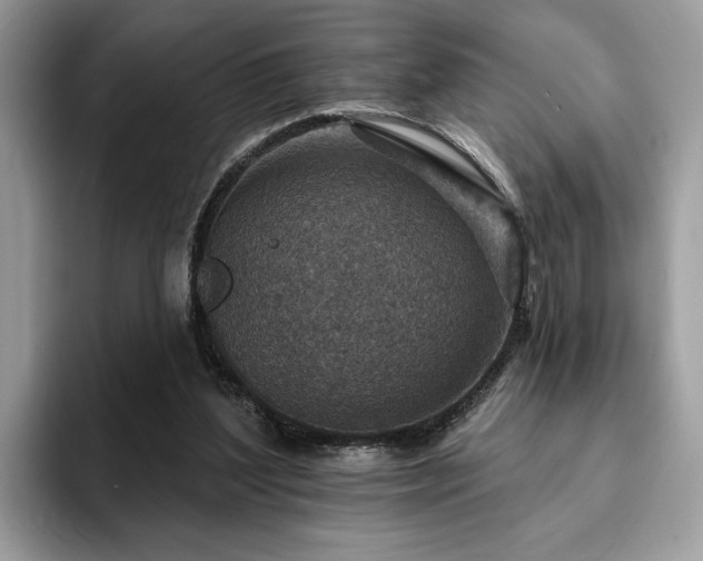 X0000094070204200710191126