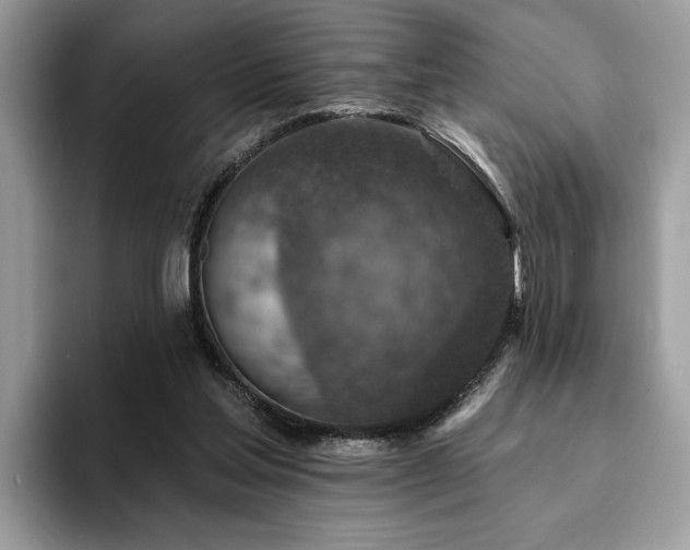 X0000094070205200710191126