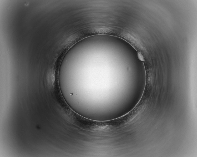 X0000094070206200710191126