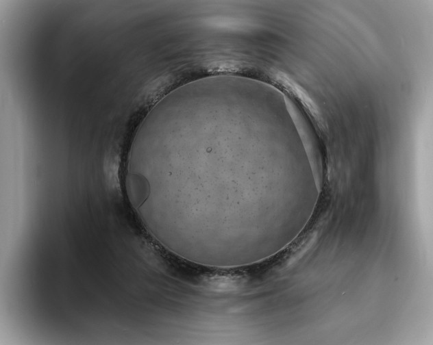 X0000094070209200710191126