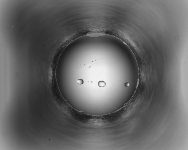 X0000094070211200710191126