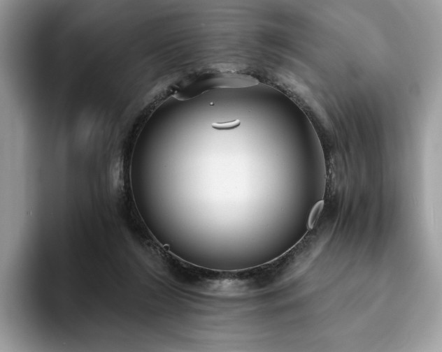 X0000094070212200710191126