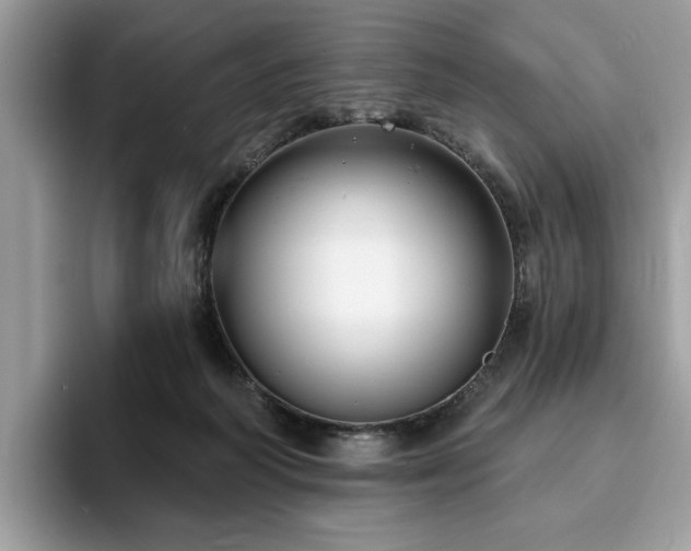 X0000094070218200710191126
