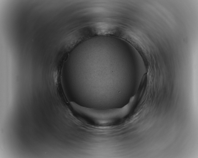X0000094070219200710191126