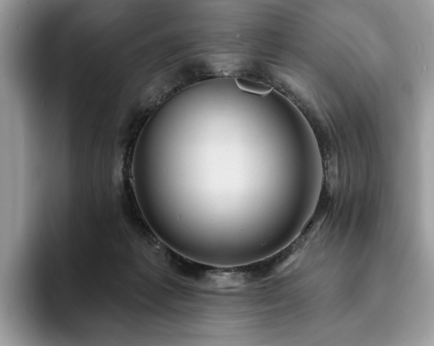 X0000094070221200710191126