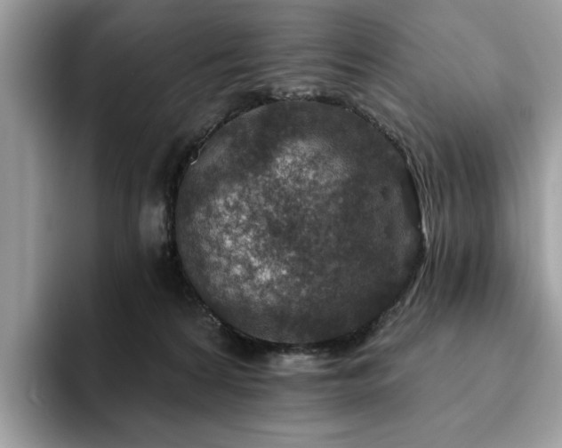 X0000094070224200710191126