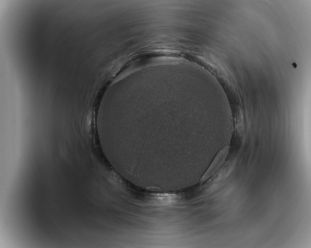X0000094070233200710191126