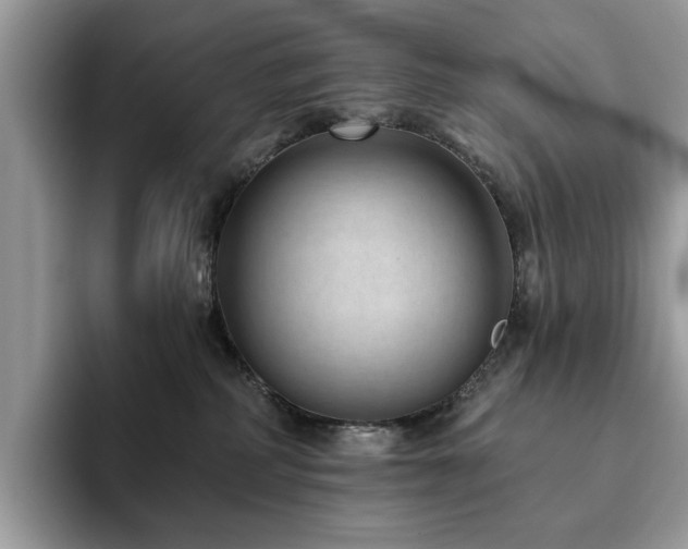 X0000094070234200710191126