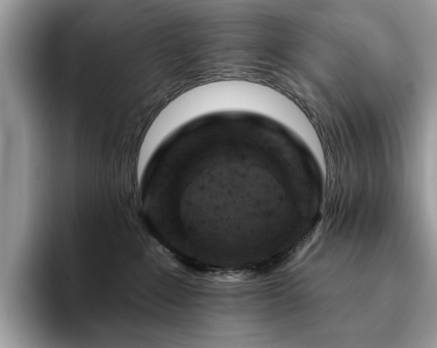 X0000094070235200710191126