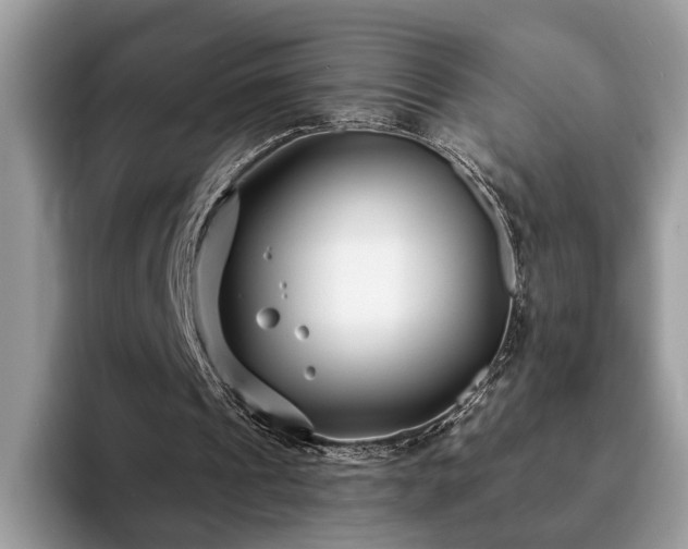 X0000094070241200710191125