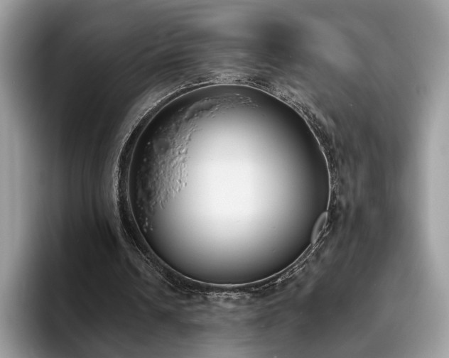 X0000094070242200710191125