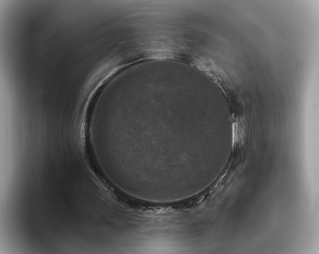 X0000094070243200710191125