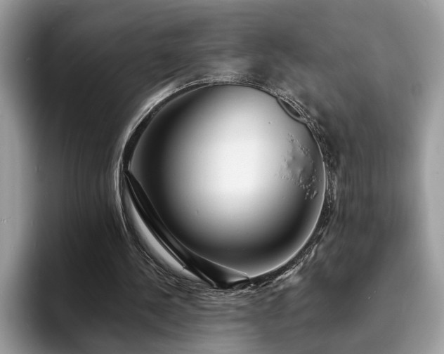X0000094070244200710191125