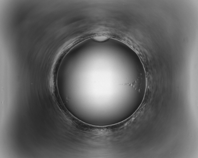 X0000094070245200710191125