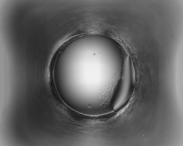 X0000094070246200710191125