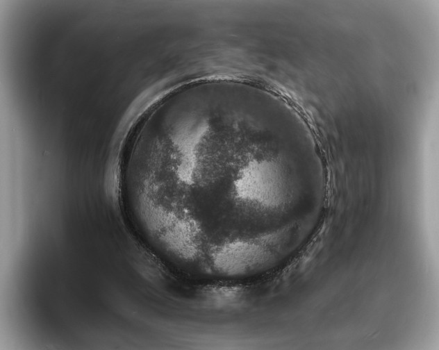 X0000094070247200710191125