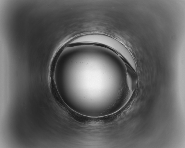 X0000094070248200710191125
