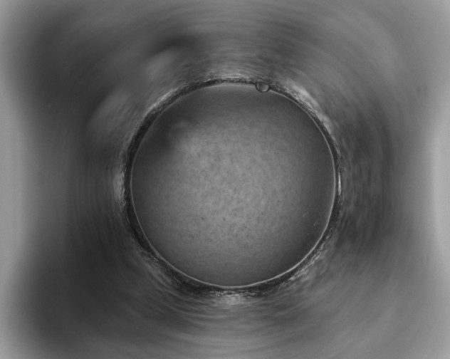 X0000094070249200710191125