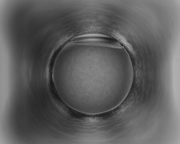 X0000094070250200710191125