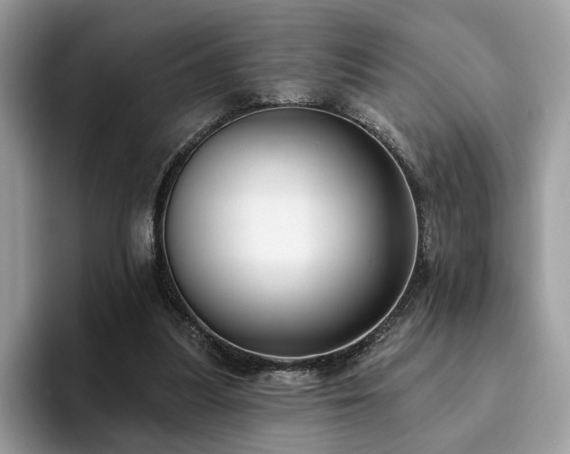 X0000094070251200710191125