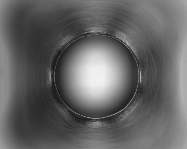 X0000094070253200710191125