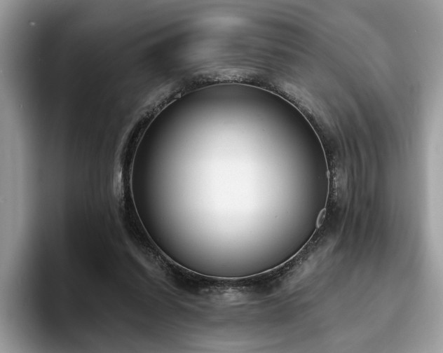 X0000094070254200710191125