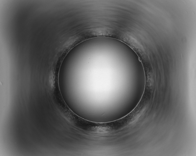 X0000094070255200710191125