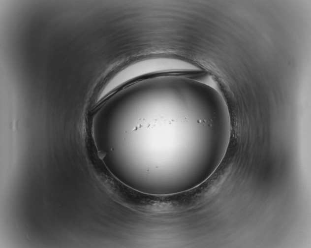 X0000094070256200710191125