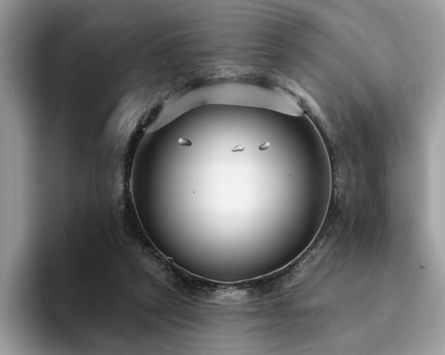 X0000094070257200710191125