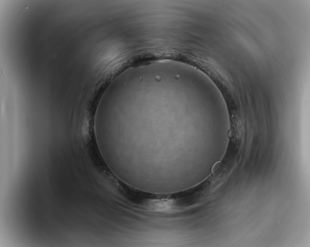 X0000094070266200710191125