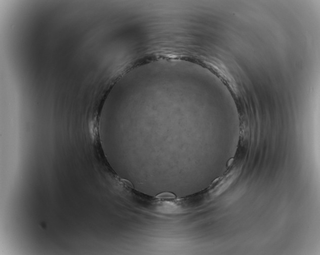 X0000094070285200710191125