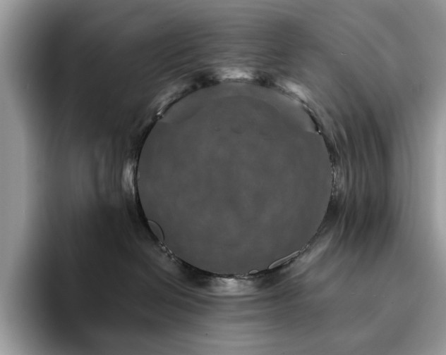 X0000094070286200710191125