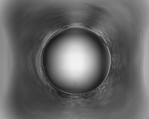 X0000094070289200710191125