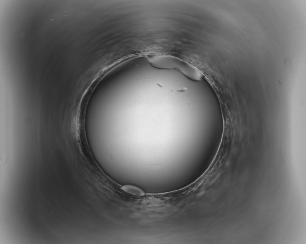 X0000094070290200710191125