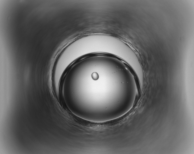 X0000094070293200710191125