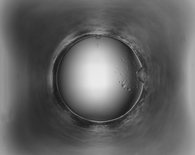 X0000094070296200710191125