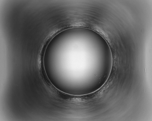 X0000094070298200710191125