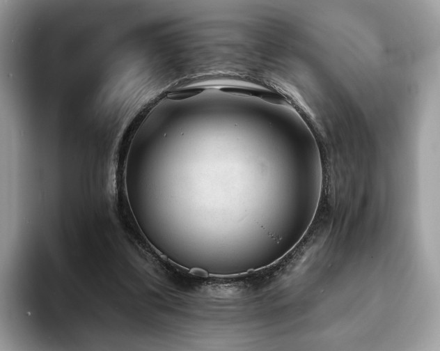 X0000094070299200710191125