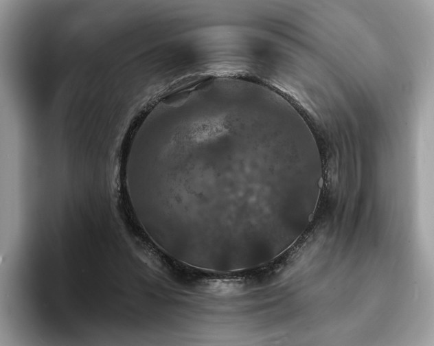 X0000094070303200710191125