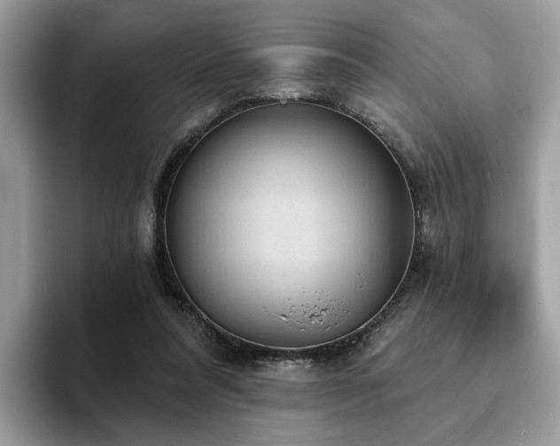 X0000094070304200710191125